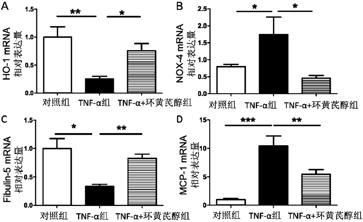 Application of cycloastragenol to preparation of drug for inhibiting abdominal aortic aneurysm