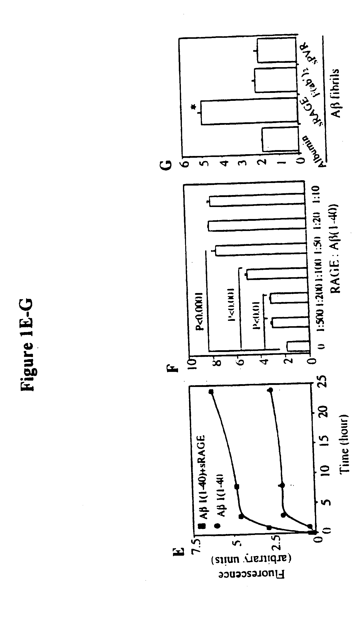 Methods of inhibiting binding of beta-sheet fibril to rage and consequences thereof