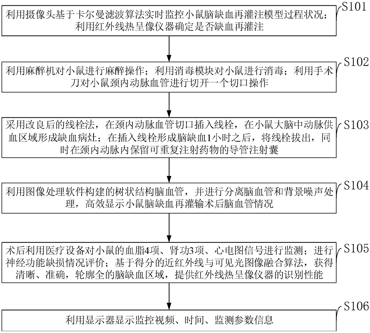 Mouse cerebral ischemia reperfusion model optimization and failure assessment method