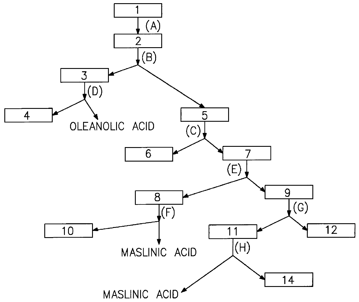 Process for the industrial recovery of oleanolic and maslinic acids contained in the olive milling subproducts