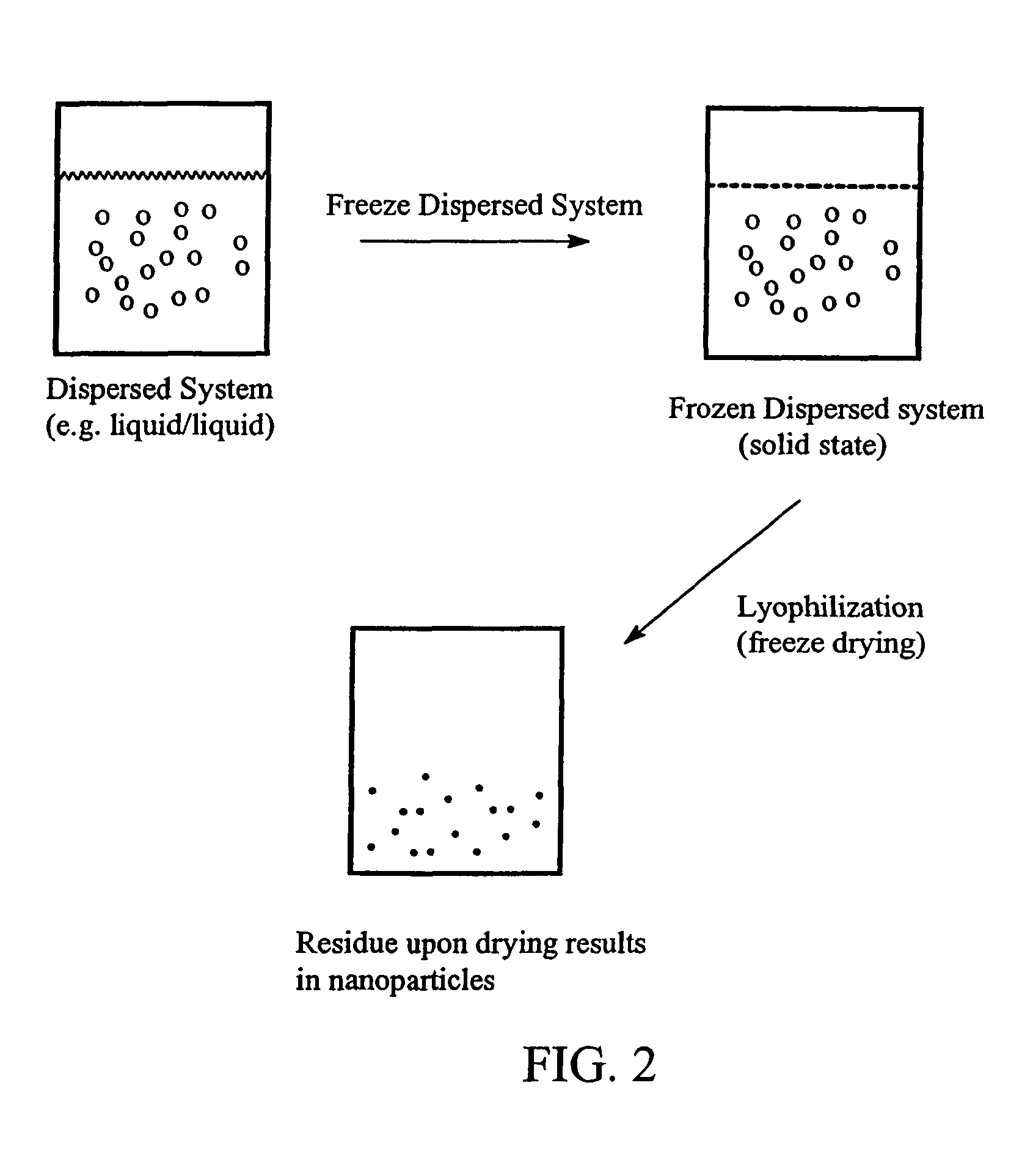 Preparation of submicron sized nanoparticles via dispersion lyophilization