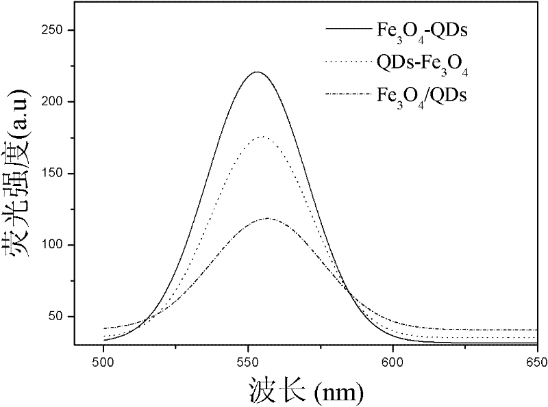 Magnetic fluorescent composite microsphere and method for preparing same