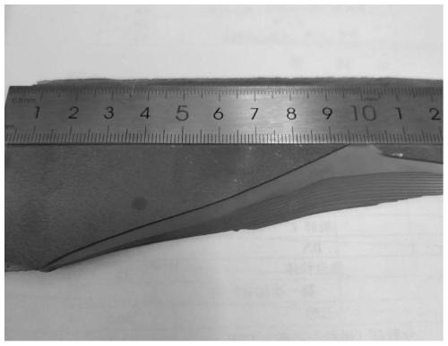 High-toughness laminar bulletproof ceramic material and preparation method combining tape casting method with hot-pressing sintering method