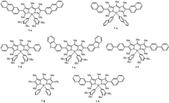 A kind of method of photo/nickel synergistic catalysis synthesis of diarylamine