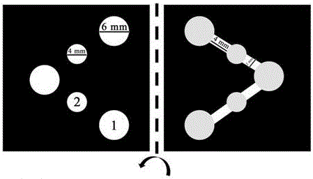 Preparation of hydrogen peroxide detection colorimetry/fluorescent paper chip in cancer cell