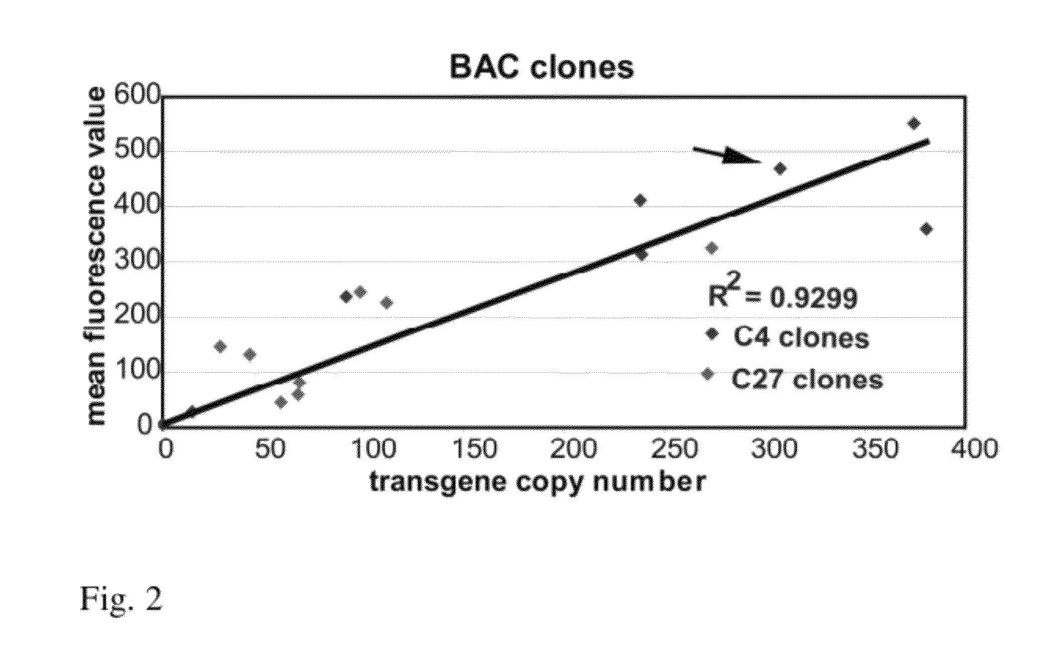 Recombinant gene expression