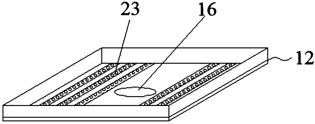 Airing device for vegetable seeds