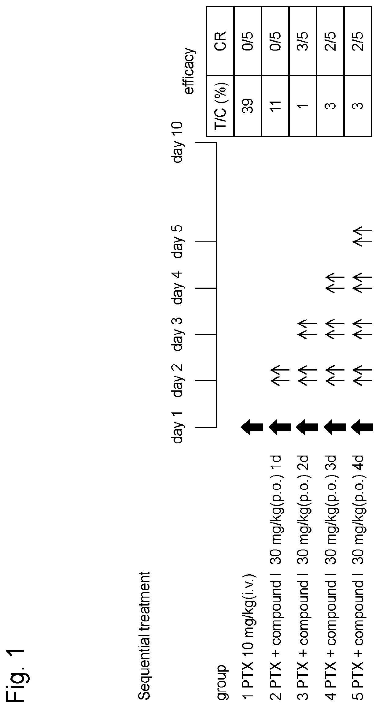 Antitumor agent and method for tumor therapy