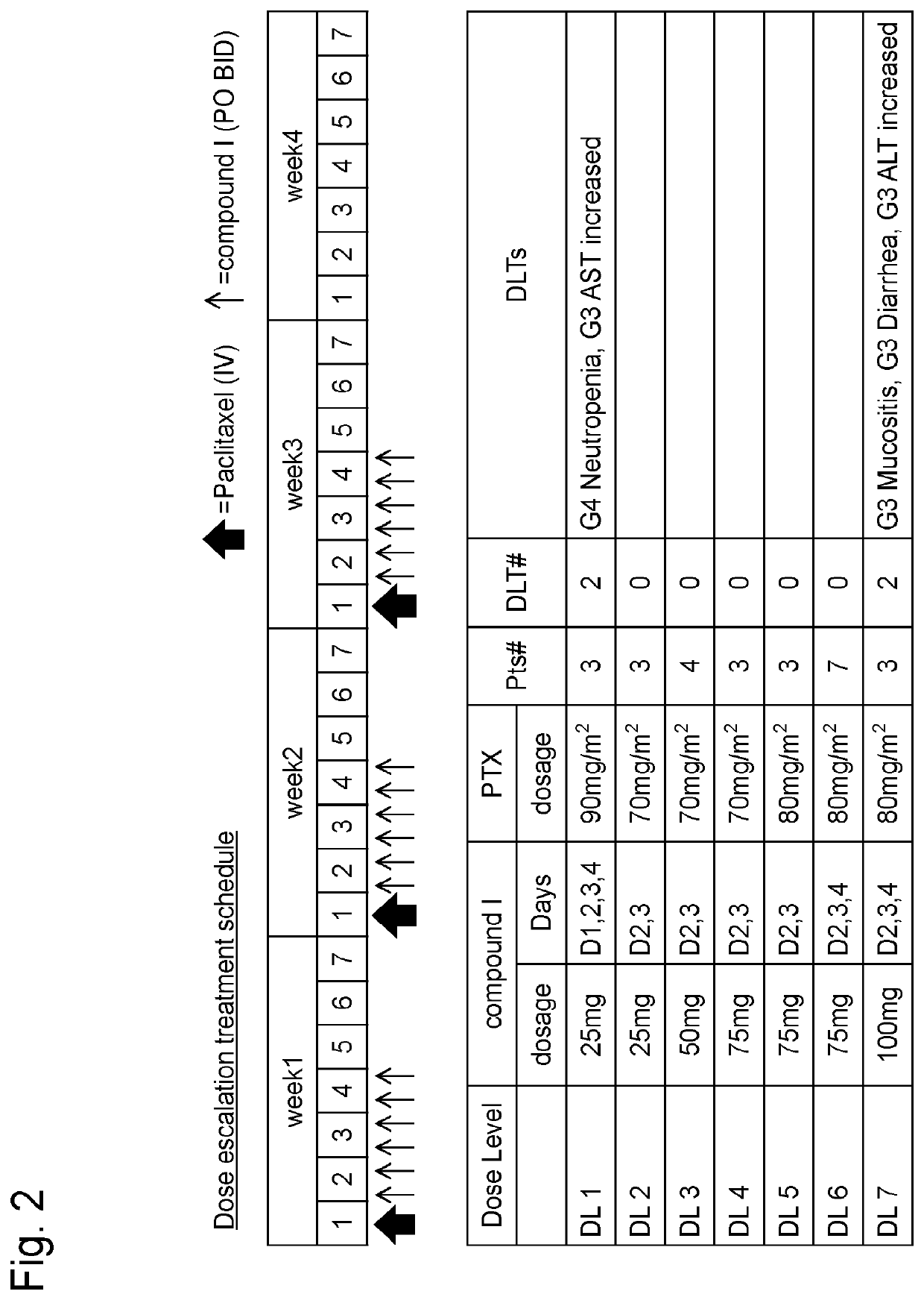 Antitumor agent and method for tumor therapy