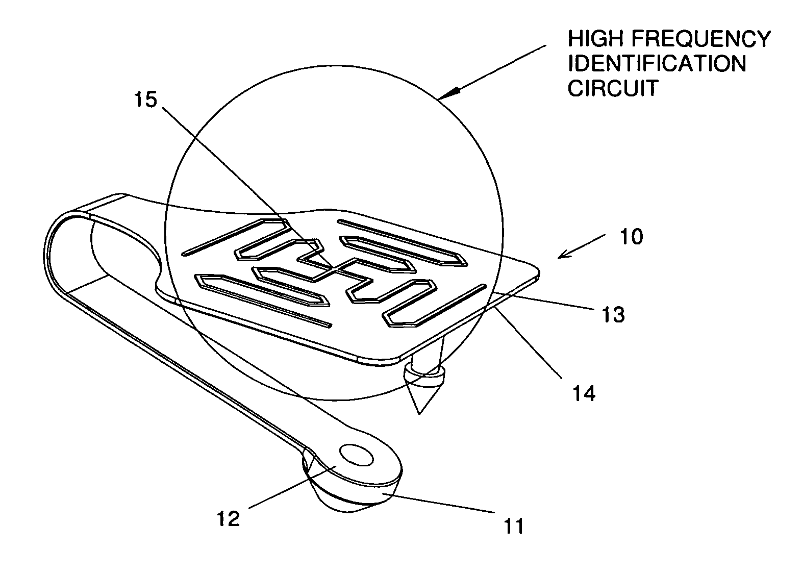 Dual frequency identification device