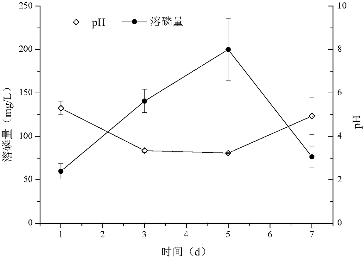 Multifunctional potassium-dissolving bacteria and use thereof