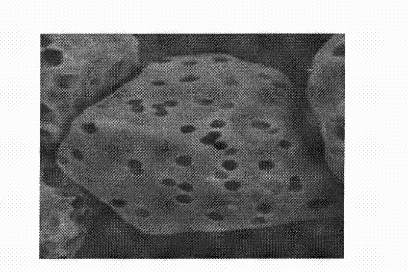 Modified rice porous starch, and modification method and application thereof