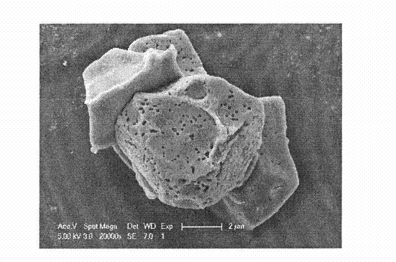 Modified rice porous starch, and modification method and application thereof