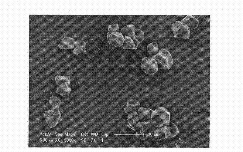 Modified rice porous starch, and modification method and application thereof