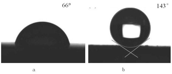 A kind of preparation method of mulberry fiber composite three-dimensional oil-water separation membrane