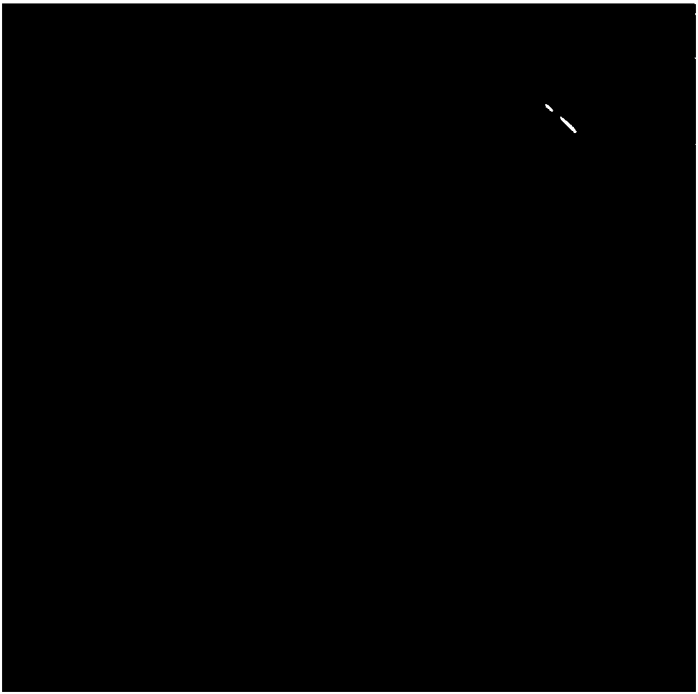 Aspergillus oryzae ZA156 and application thereof