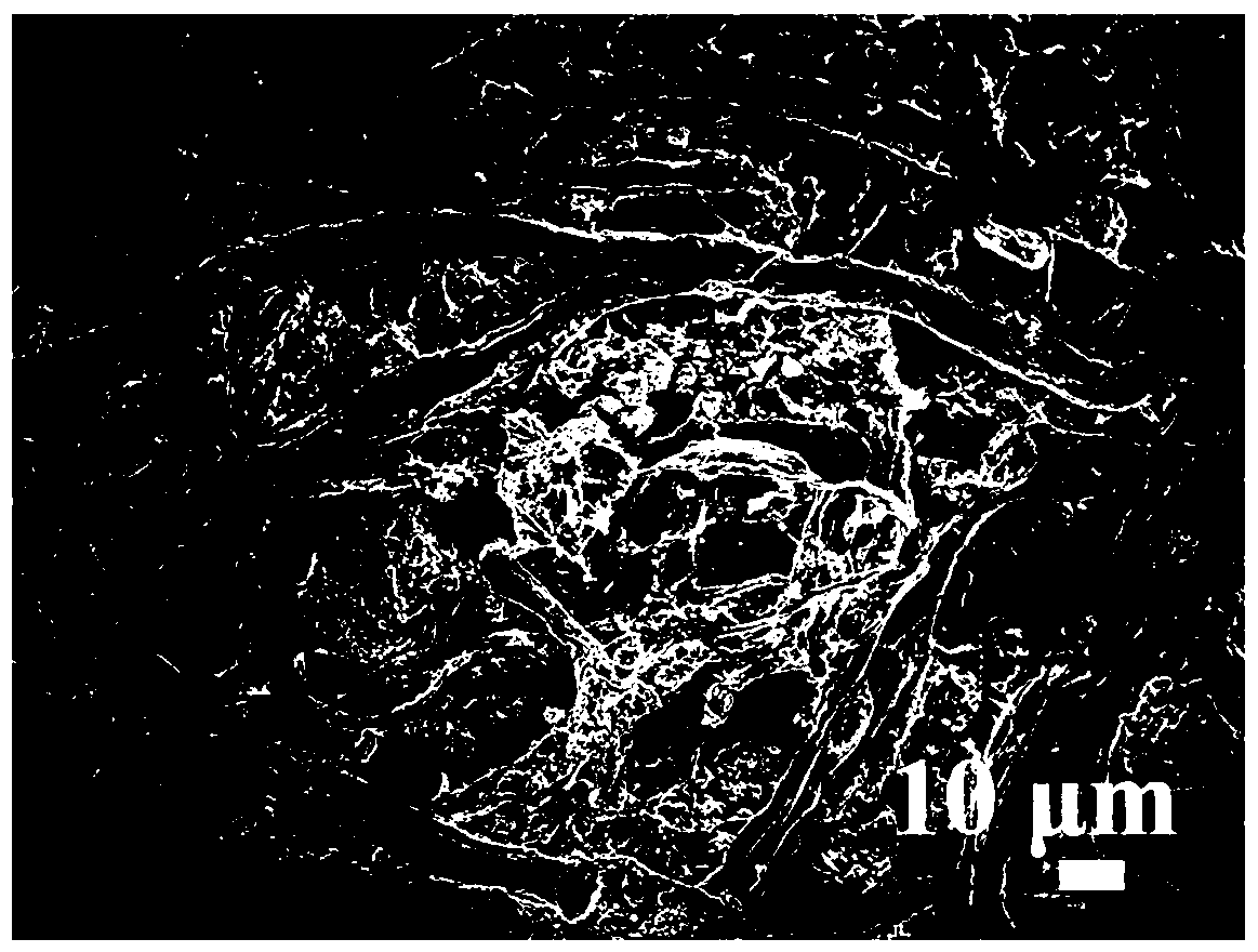 Preparation method of self-supporting double carbon structure compounding Ga2O3 lithium ion battery anode