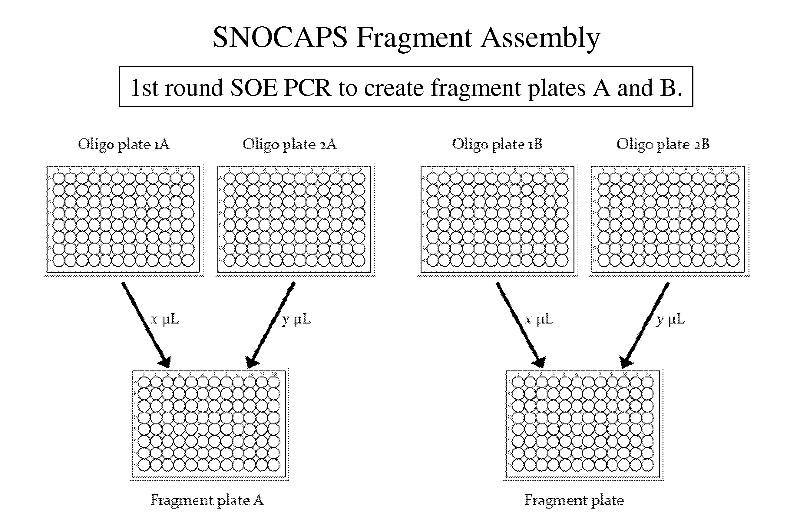 Reduced codon mutagenesis