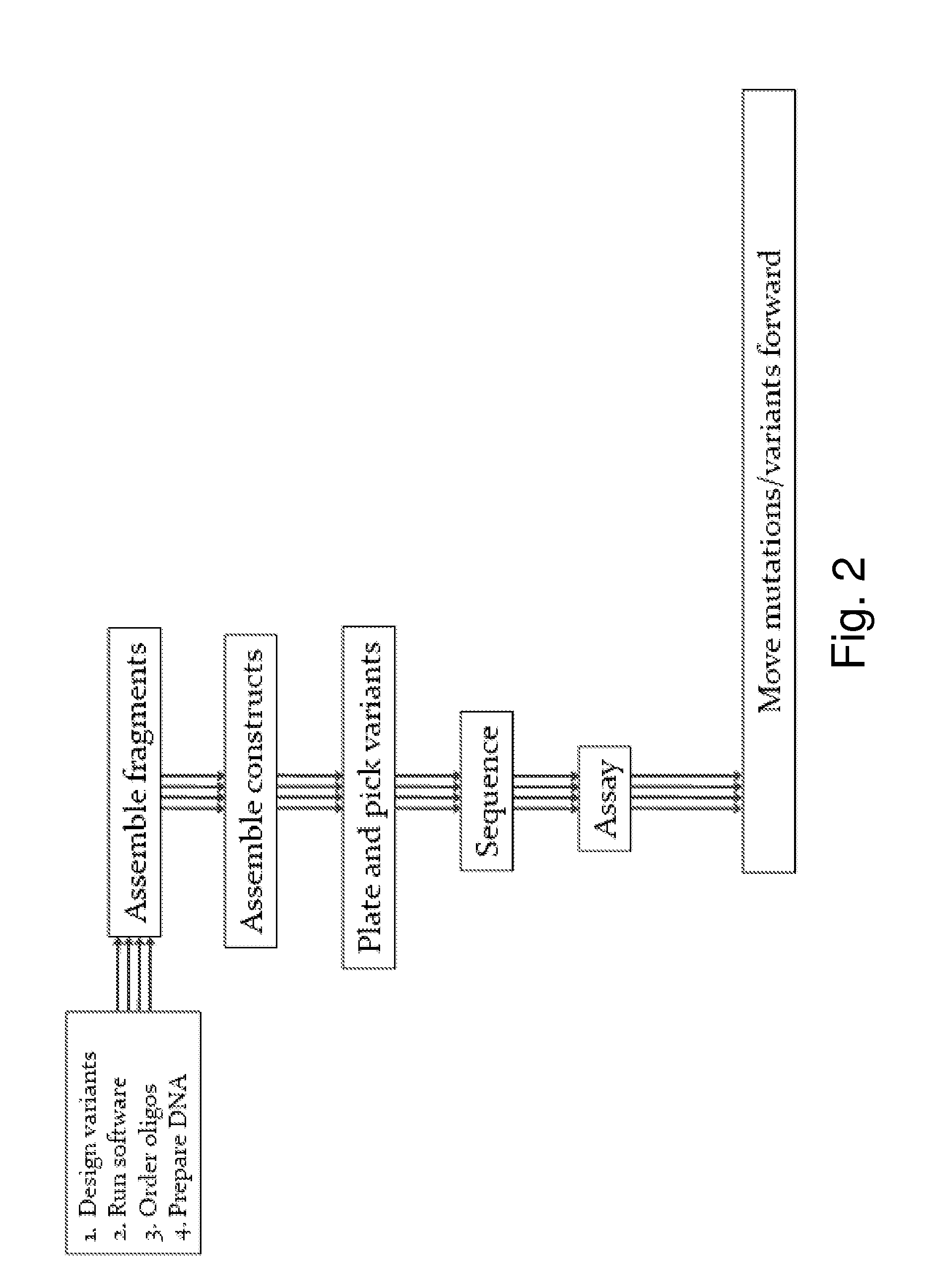 Reduced codon mutagenesis