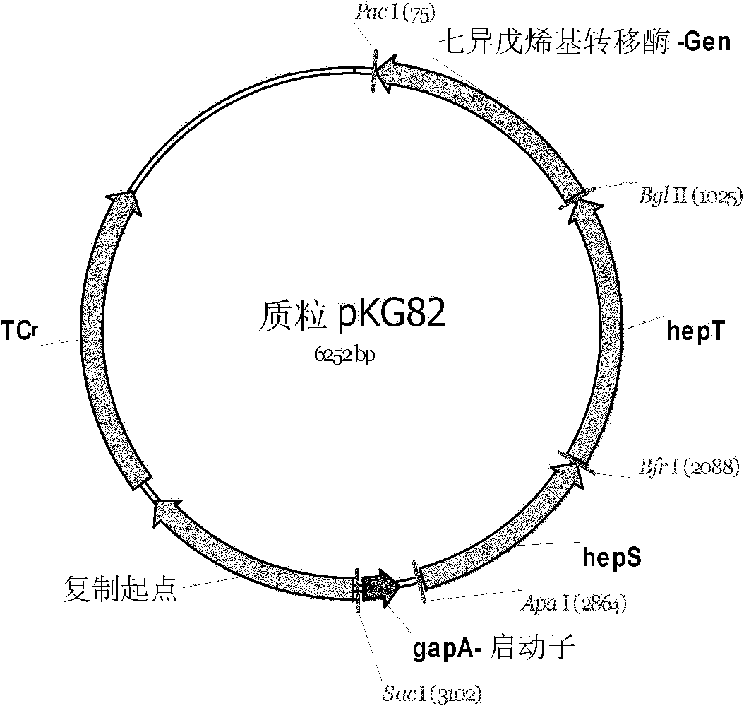 Method for fermentative production of menaquinone-7 using escherichia coli