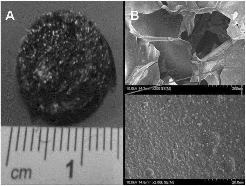 Support material with function of promoting differentiation of stem cells as well as preparation method and application of support material