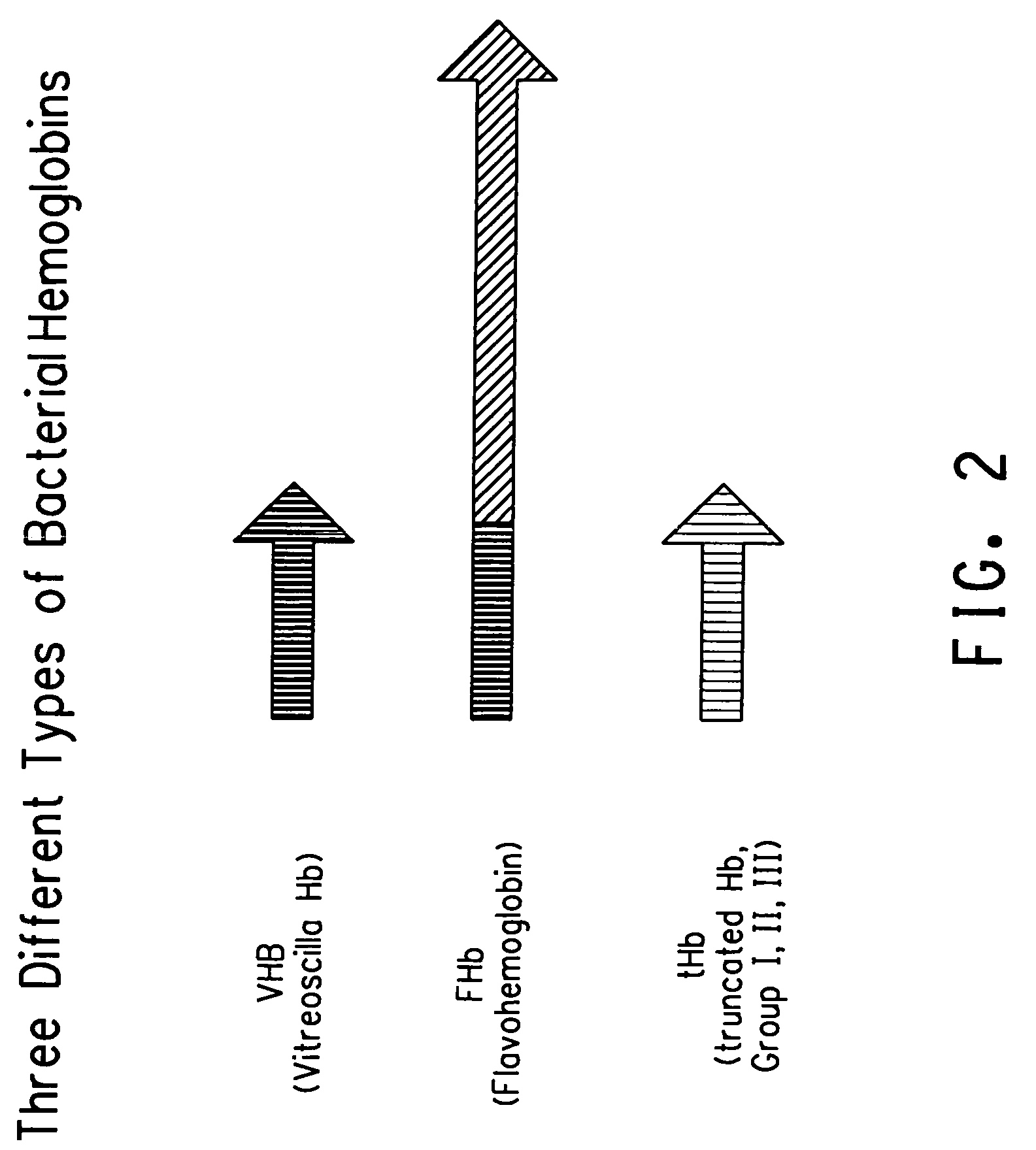 Bacterial hemoglobin genes and their use to increase carotenoid production