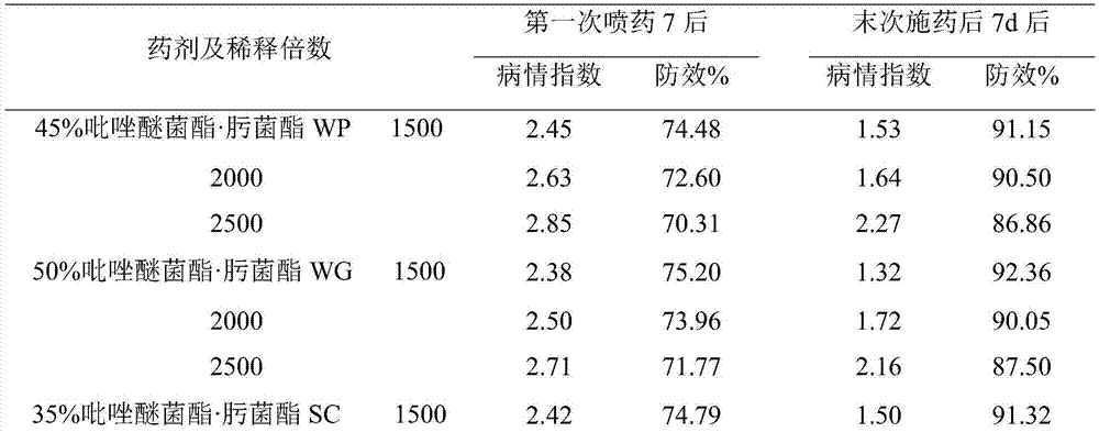 Compound bactericide and application thereof