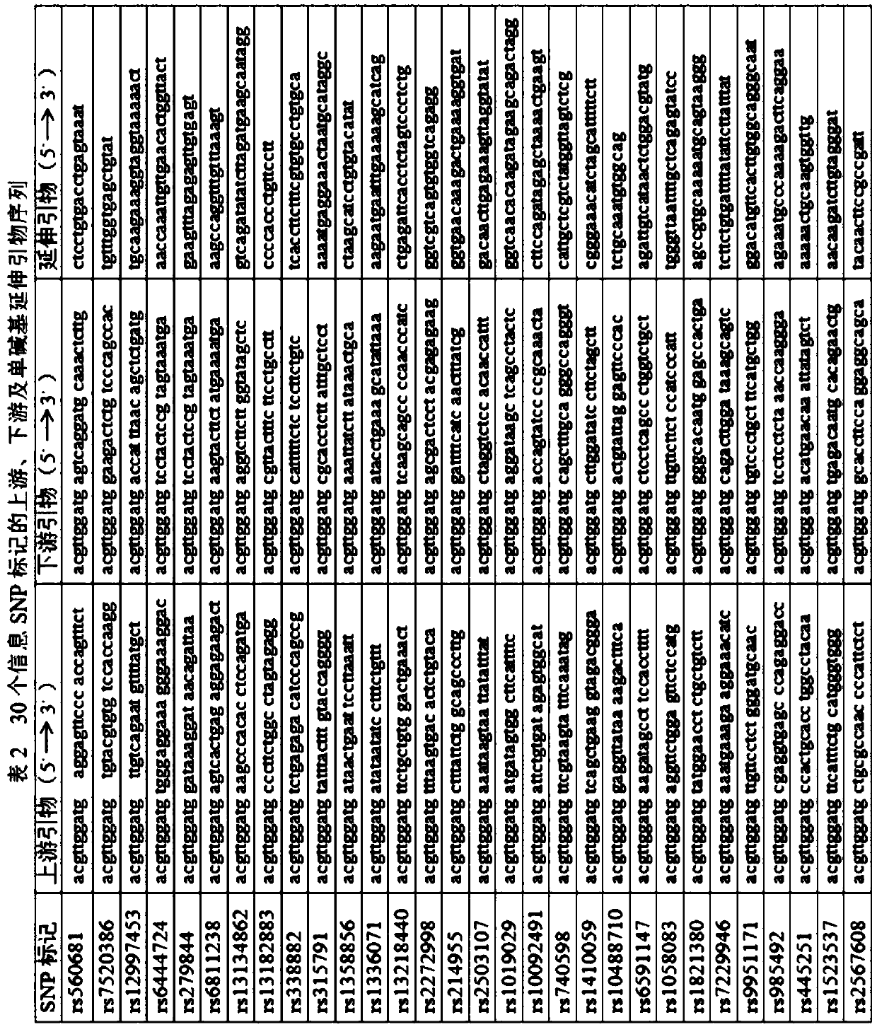 Nucleic acid mass spectrometry paternity testing method based on information SNP (Single Nucleotide Polymorphism) set and primers of information SNP set