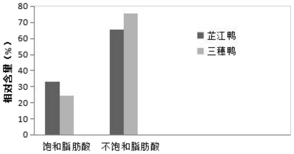 Duck meat quality detection method