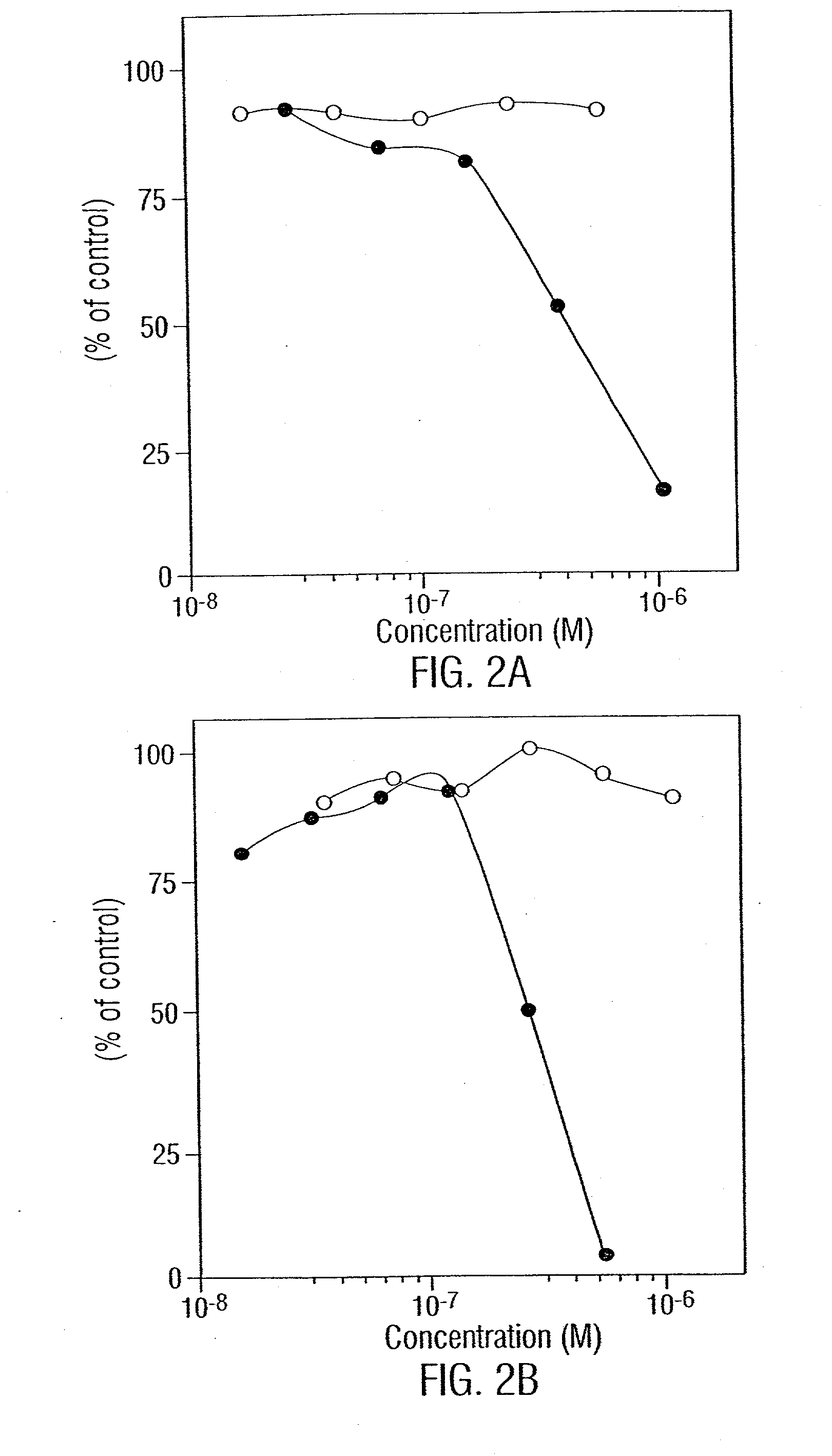 Compositions and methods for homoconjugates of antibodies which induce growth arrest or apoptosis of tumor cells