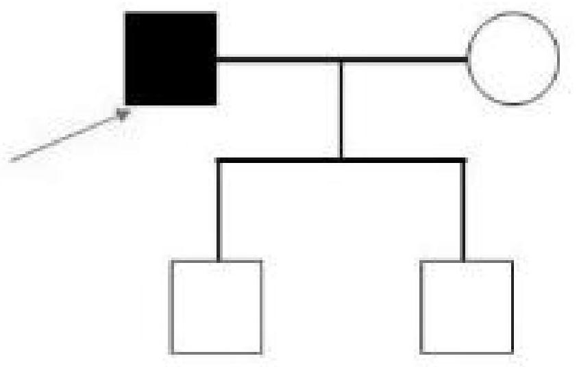 JUP gene mutant and application thereof