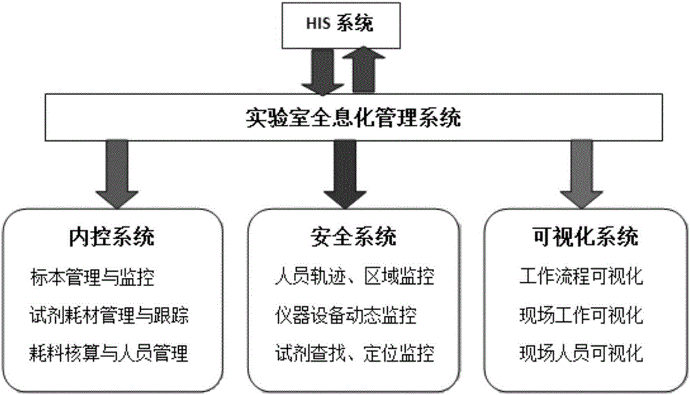 All-informatization management system for medical clinical laboratory