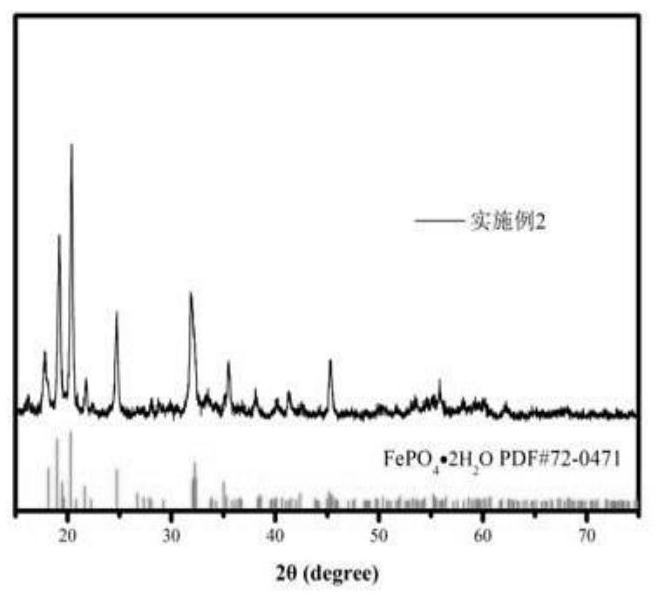 Method for preparing iron phosphate from ferro-nickel alloy