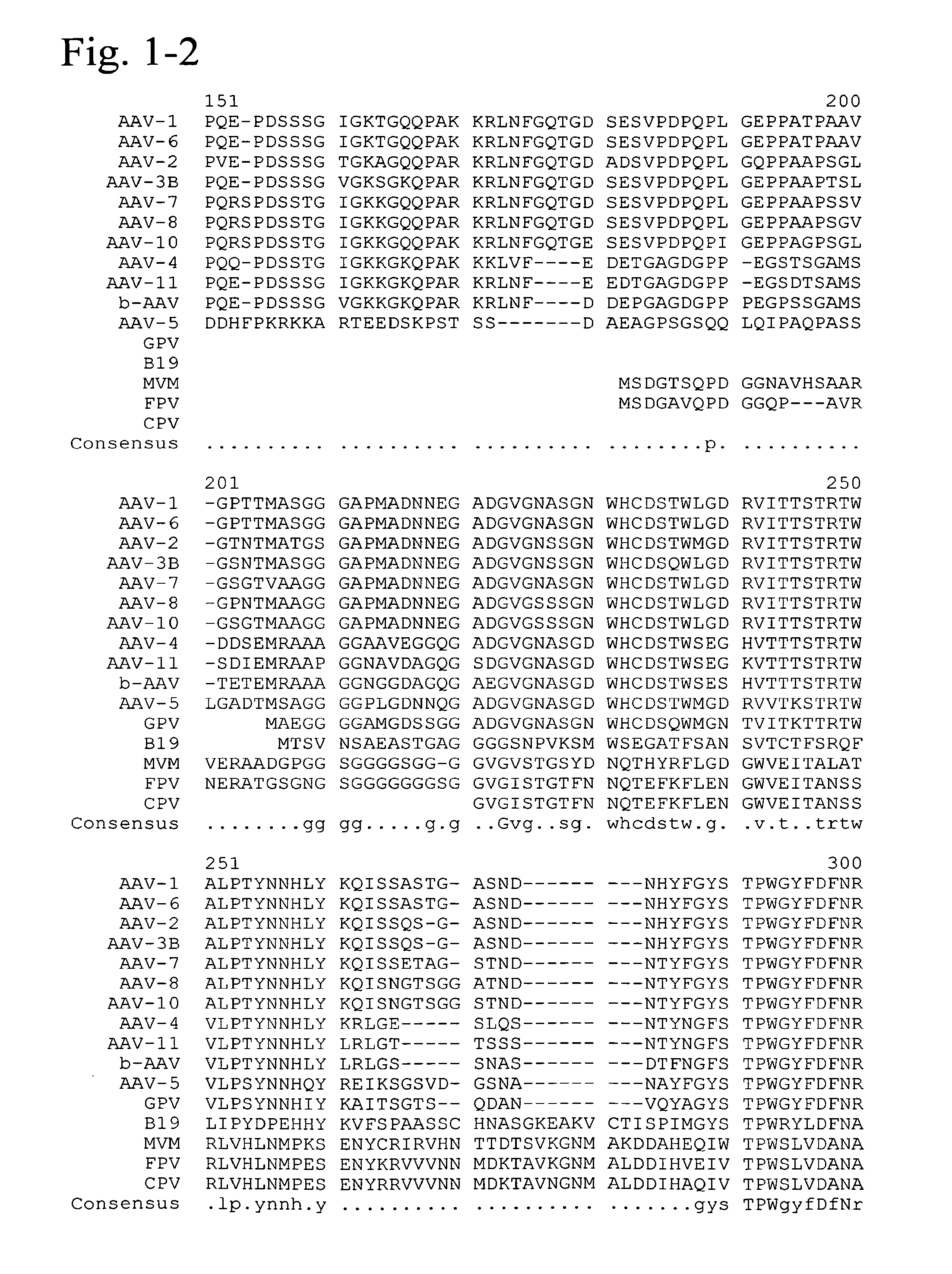 Mutated parvovirus structural proteins as vaccines