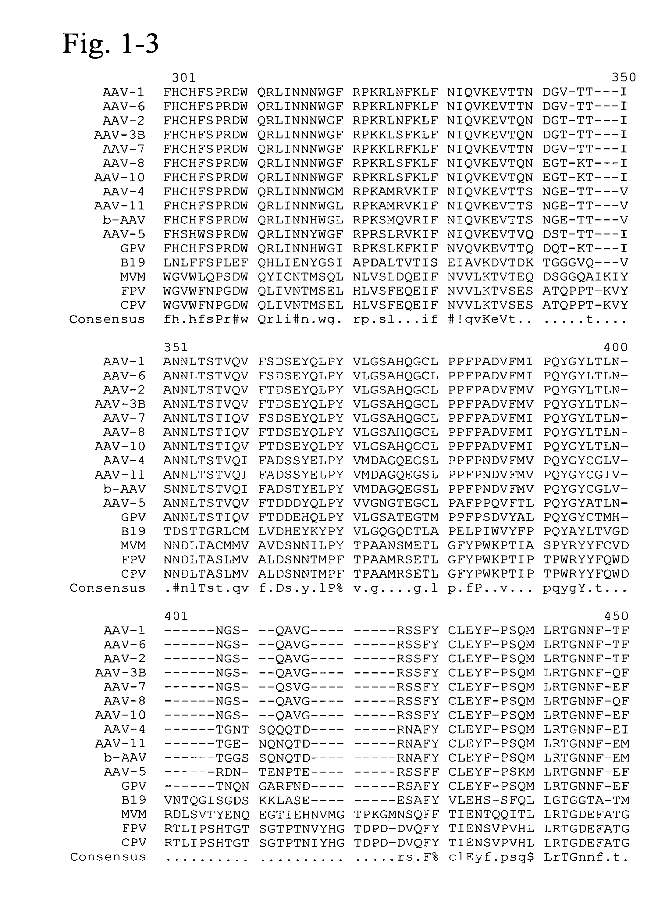 Mutated parvovirus structural proteins as vaccines