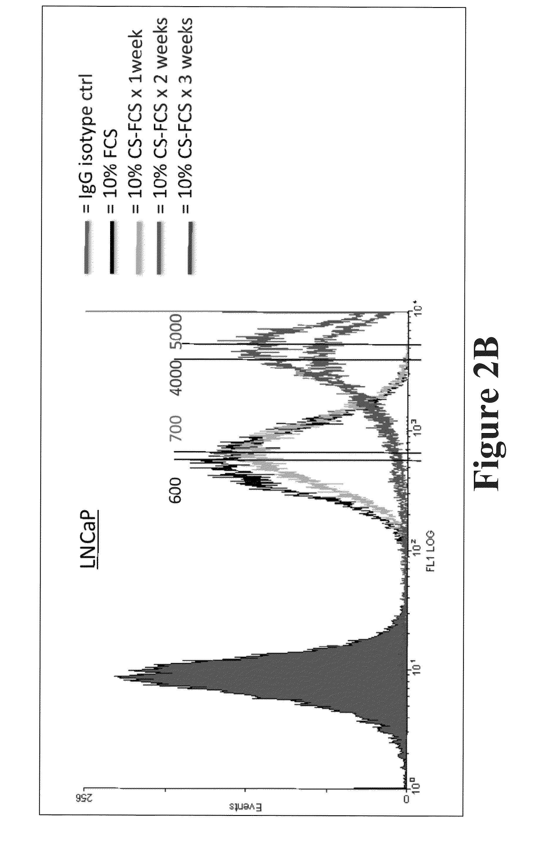 PSMA as a BioMarker for Androgen Activity in Prostate Cancer