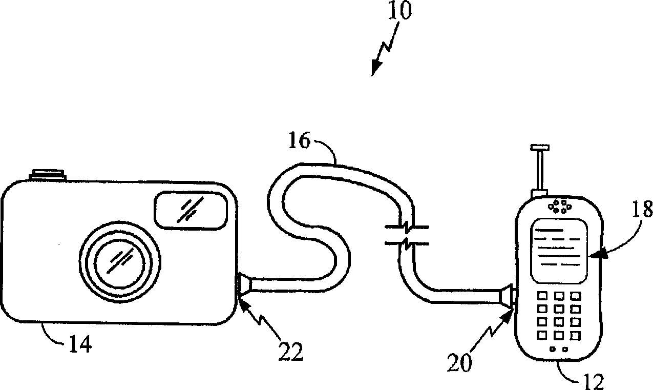 System and method for establishing a communication between a peripheral device and a wireless device