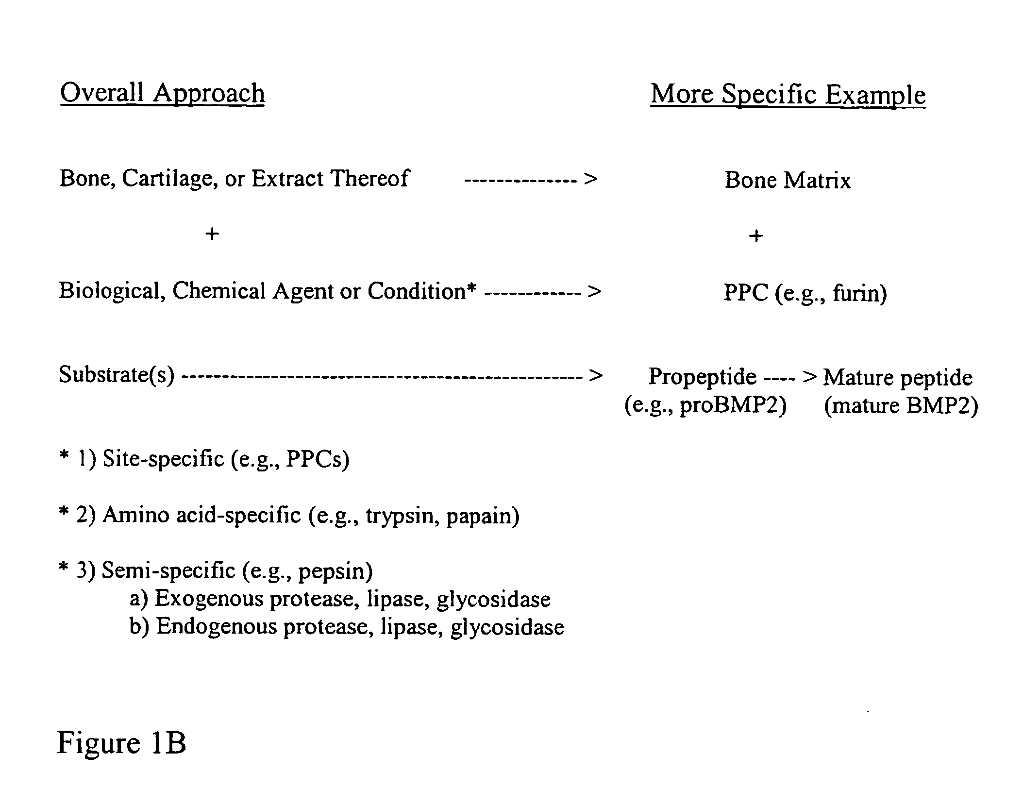 Bone matrix compositions and methods