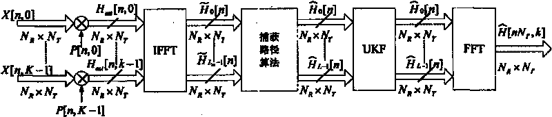 UKF-based channel and carrier frequency deviation estimating method in the OFDM system