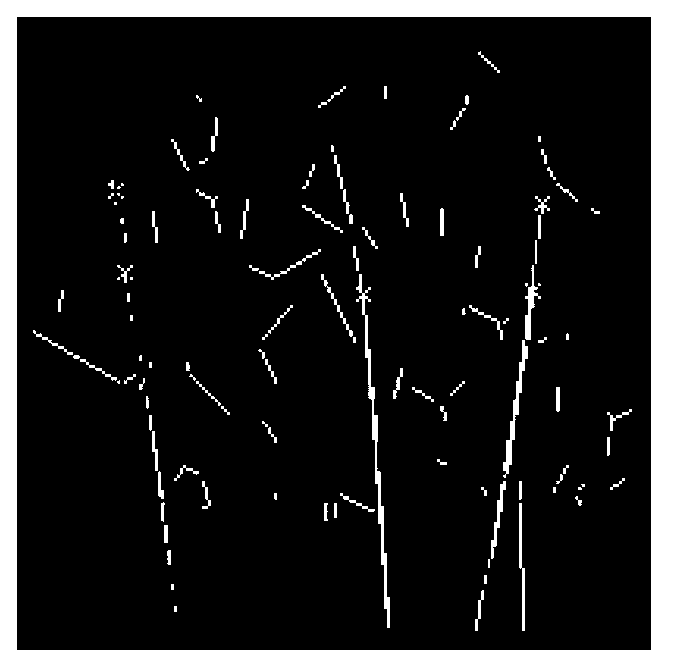 Crop-weed identification and positioning method based on three-dimensional flight time method imaging