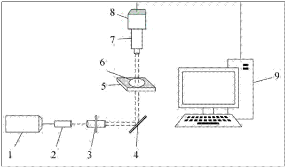 Speckle blood flow imaging method and device based on component analysis