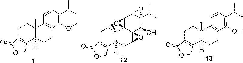 3-substituted-4-ketone-14-methoxyl abietane compounds as well as preparation methods and applications thereof