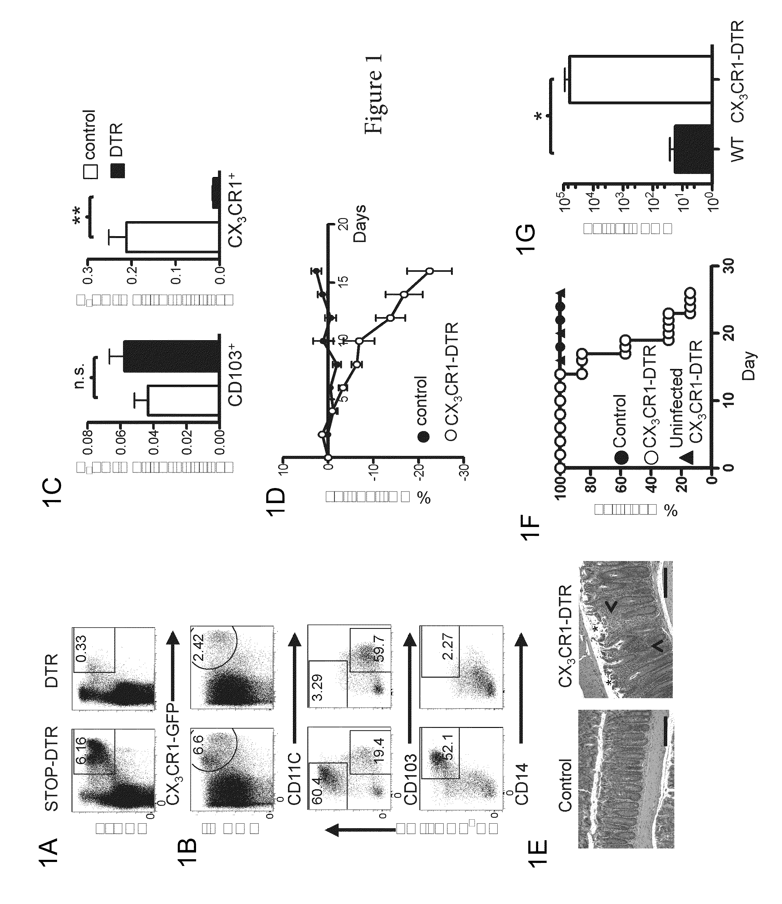 Type 3 innate lymphoid cell induced gastrointestinal tract mucosal healing