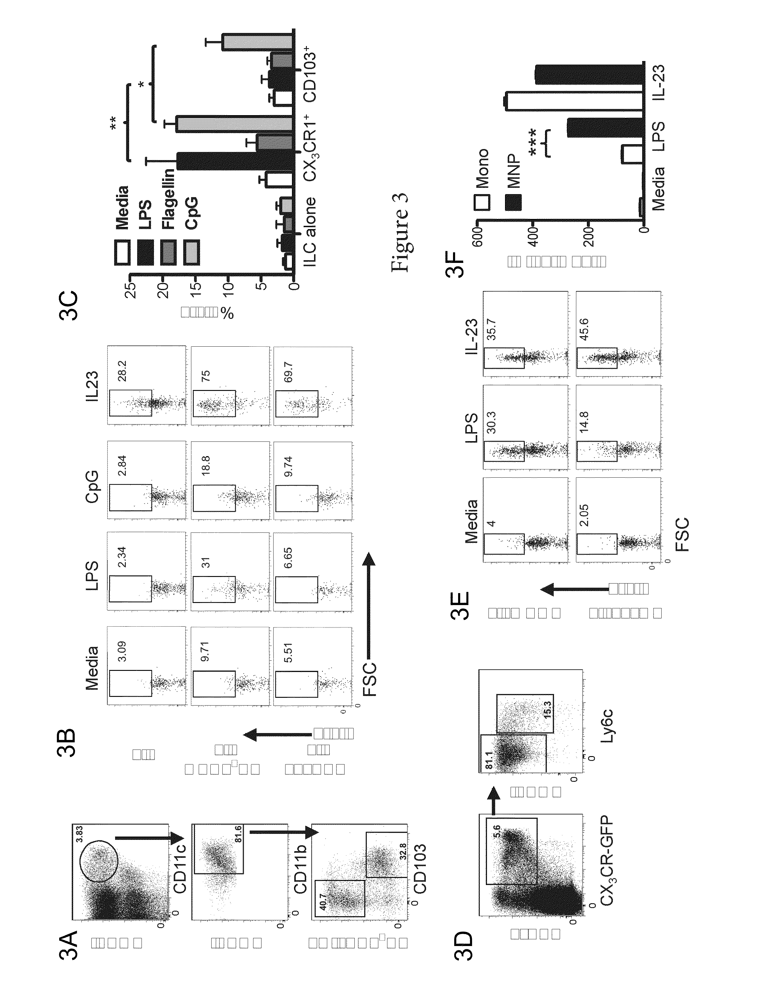 Type 3 innate lymphoid cell induced gastrointestinal tract mucosal healing