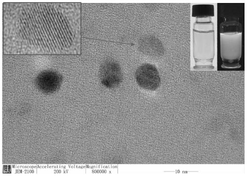 Preparation method and application of blue-fluorescence carbon quantum dots