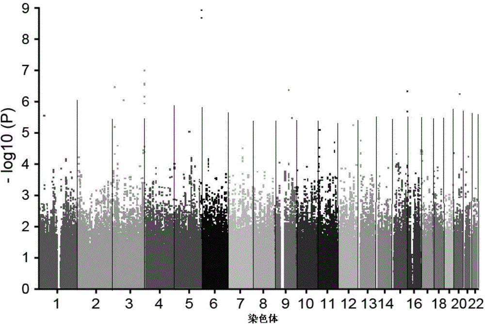 SCML4 gene sequence and expression change detection and application of SCML4 gene sequence in coronary heart disease prediction