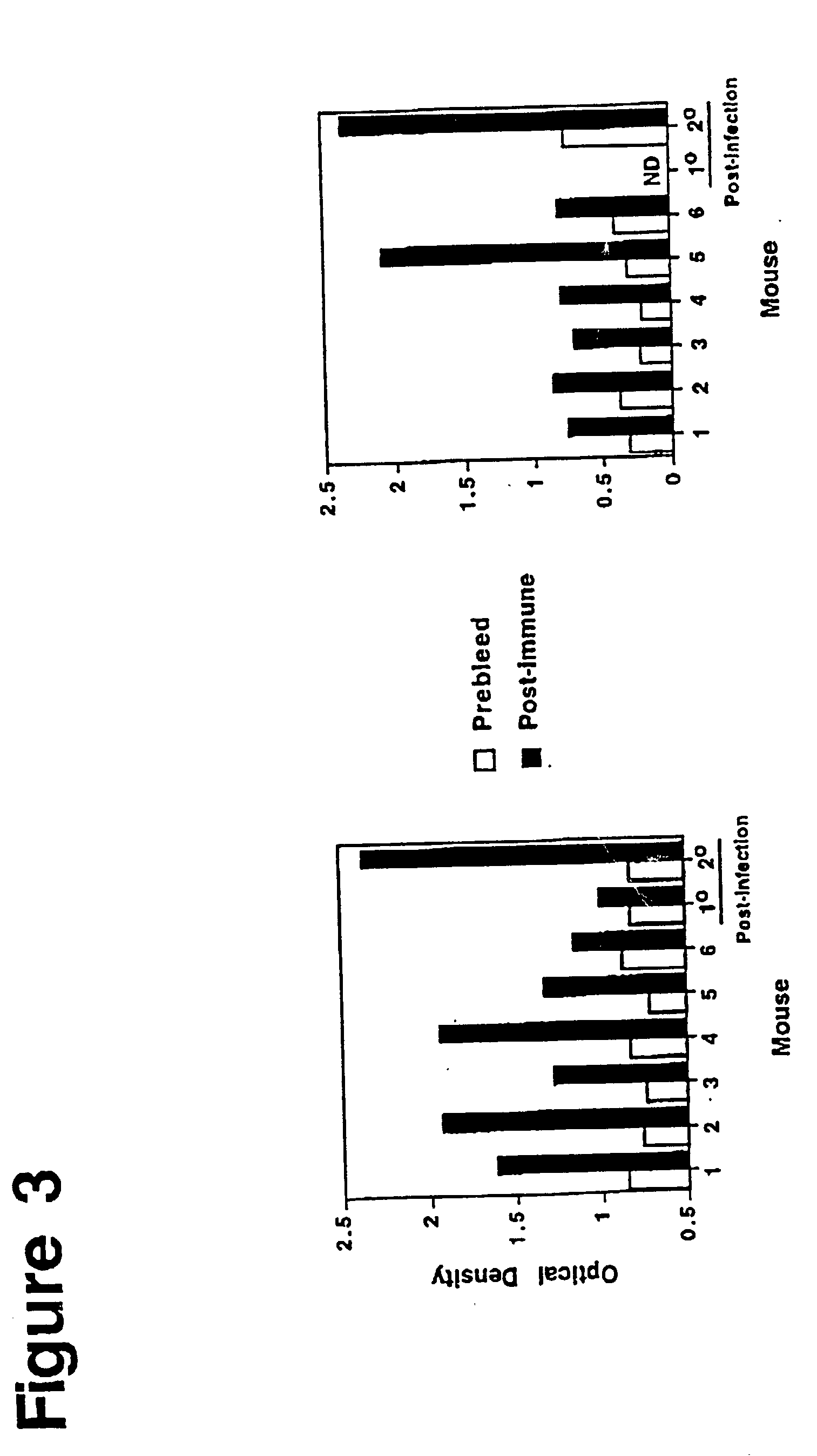 Method of isolating a peptide which immunologically mimics microbial carbohydrates including group B streptococcal carbohydrates and the use thereof in a vaccine