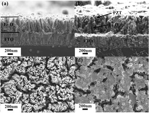 Preparation method for hematite nanorod array photoanode modified by lead zirconate titanate