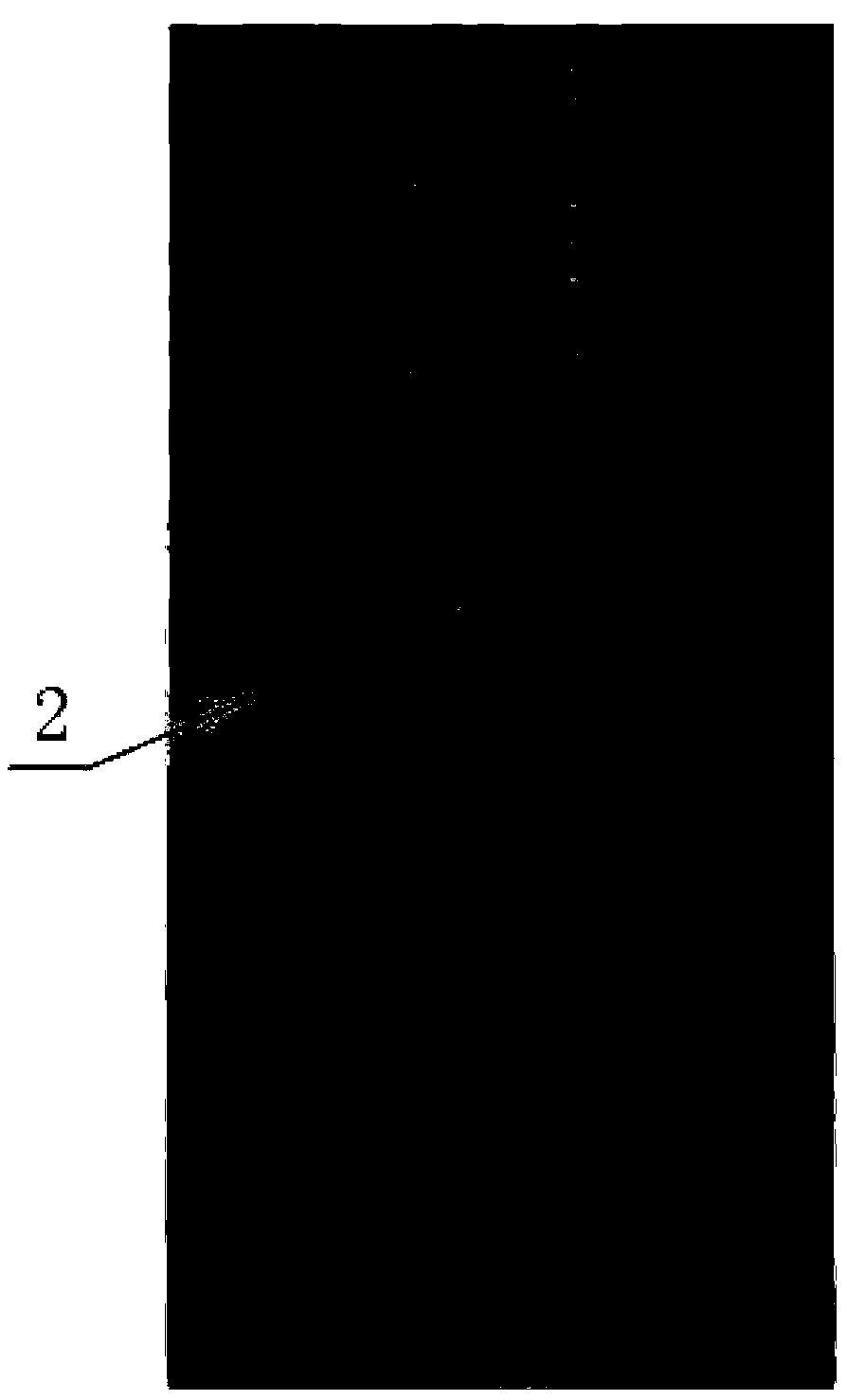 High-speed and high-precision light curtain detection device based on FPGA (field programmable gate array) and FPAA (field programmable analog array)