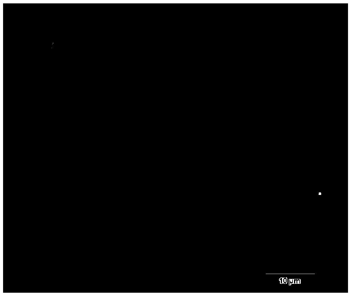 Plant sex identification method for pistacia chinensis bunge